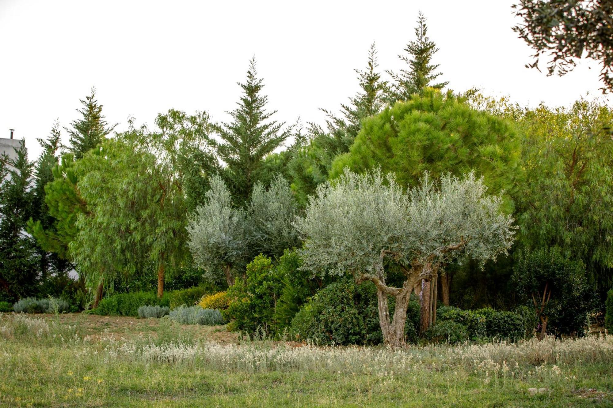 Monte Da Hortinha Villa Estremoz Luaran gambar