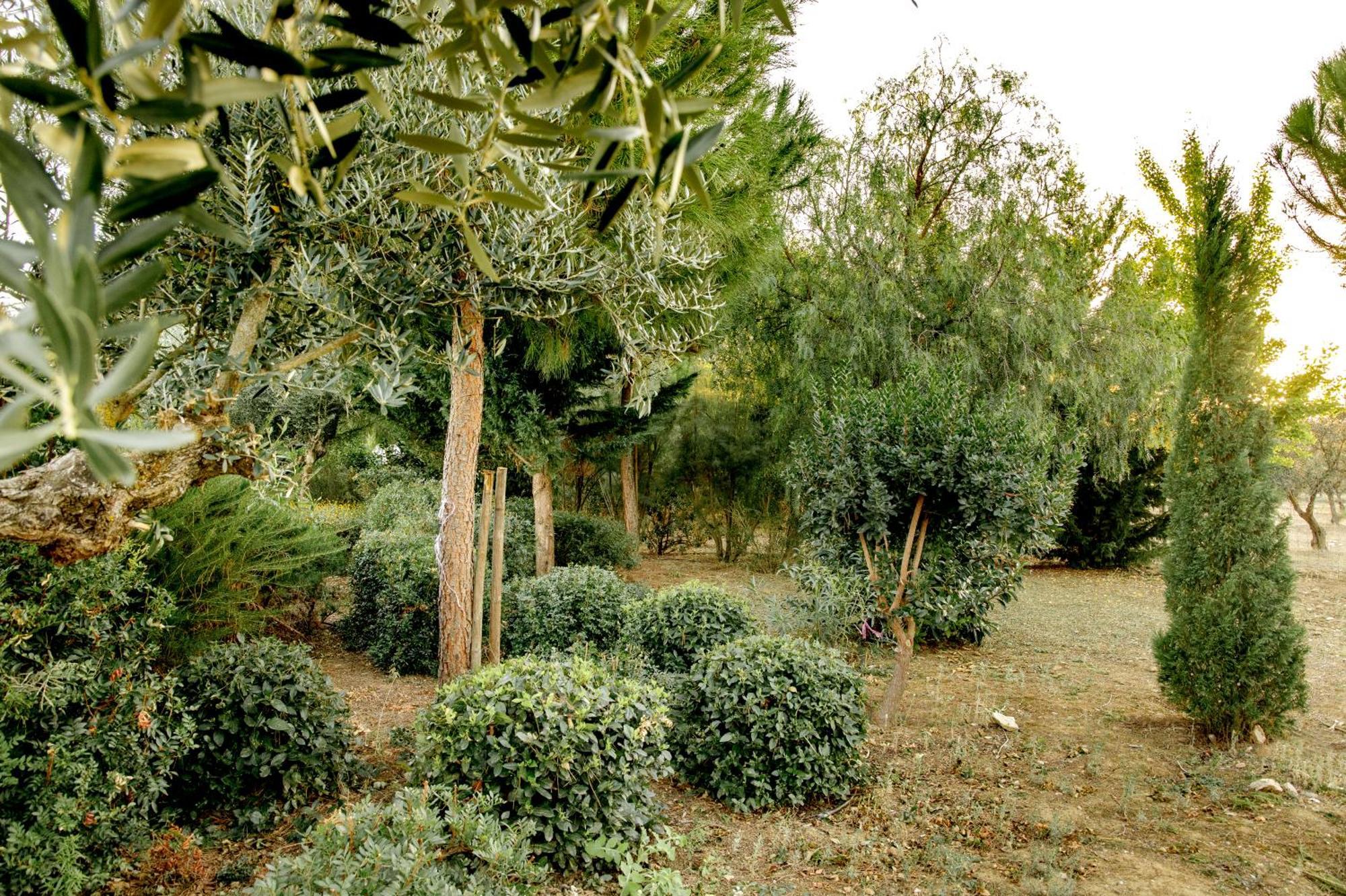 Monte Da Hortinha Villa Estremoz Luaran gambar